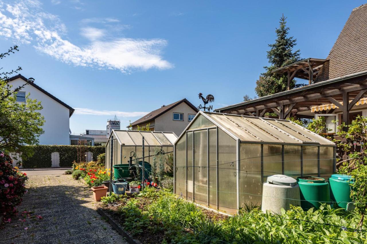 Ferienwohnung Trixi Sexau Zewnętrze zdjęcie